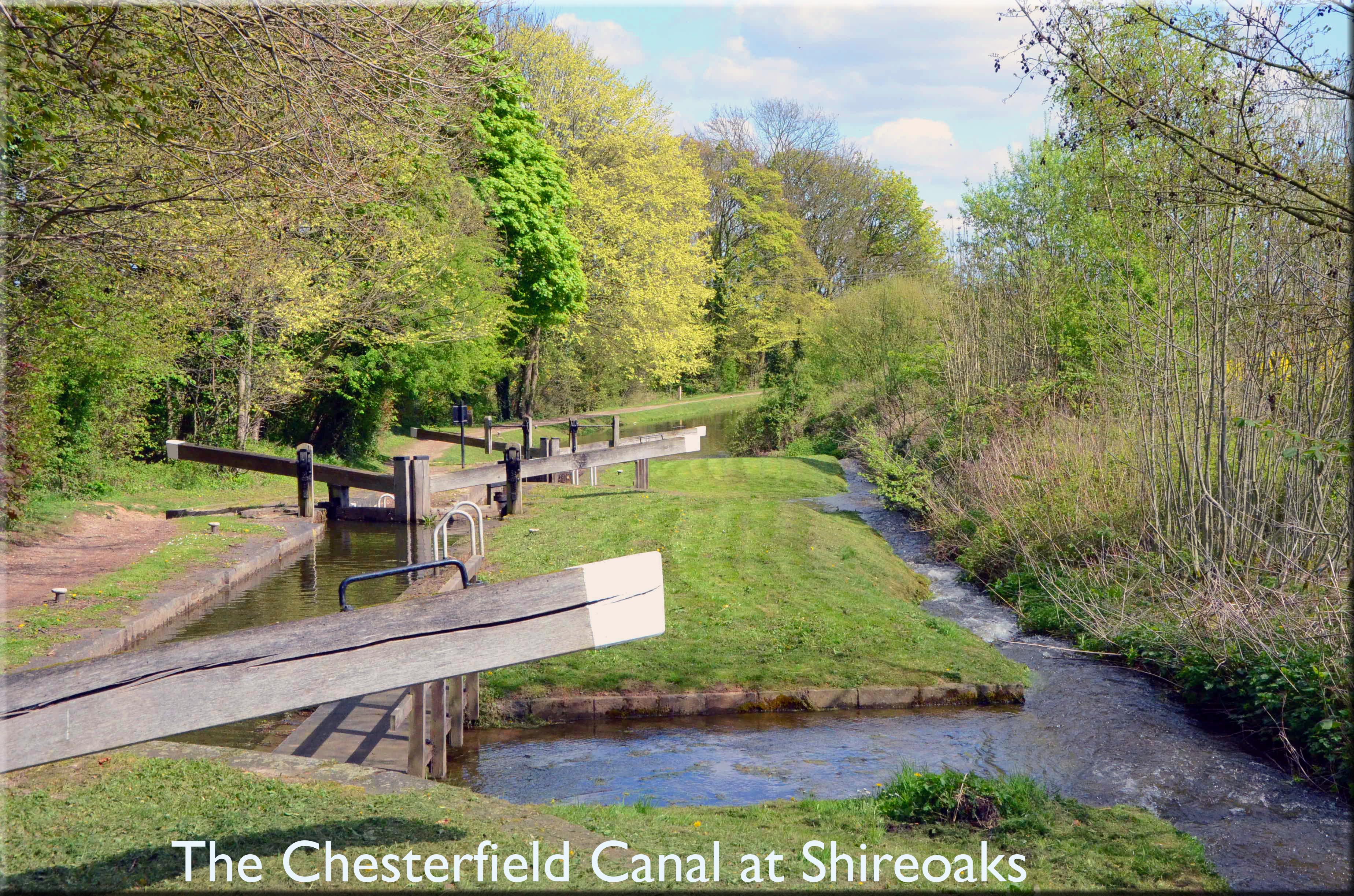 Chesterfield canal at Shireoaks in spring